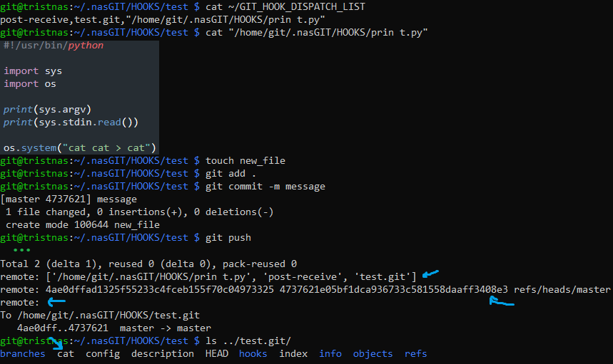 image-20240209073002472