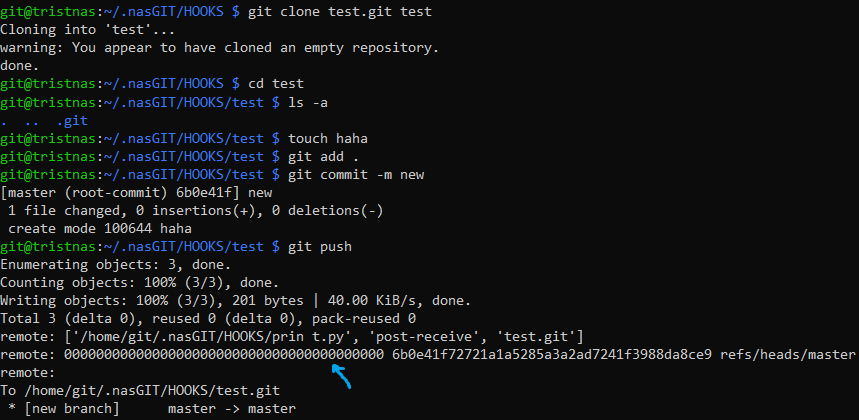 image-20240210063407161